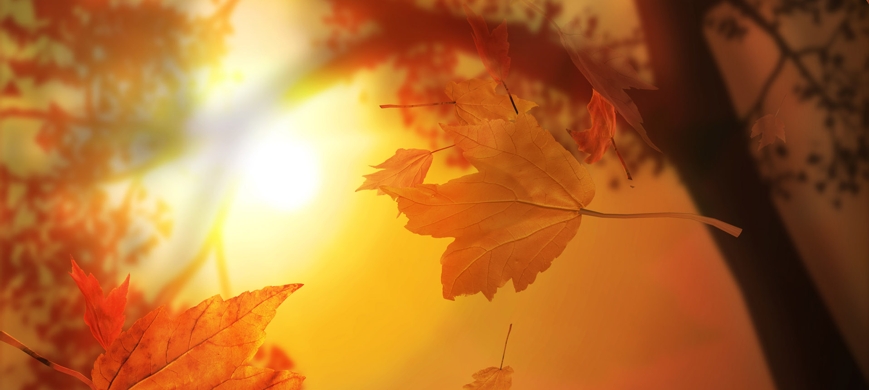 Fericirea de a fi sanatos